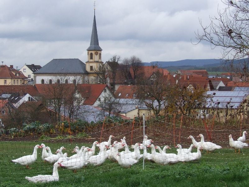 Die Kirchweih überlebt ...