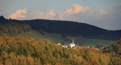 Die Kirsche von Saubsdorf...