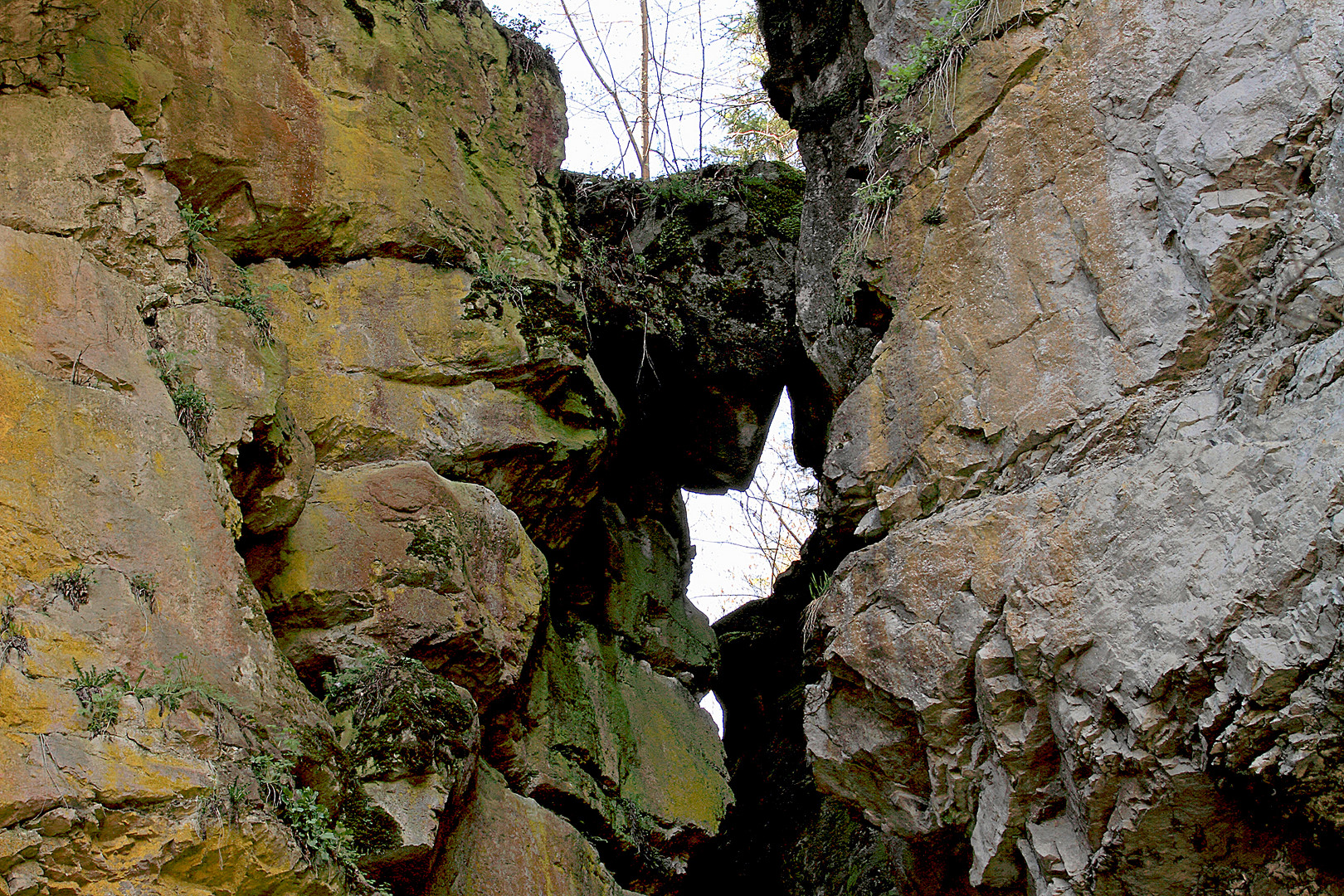 die Klamm Gemeinde Obsteig, Mieminger Plateau