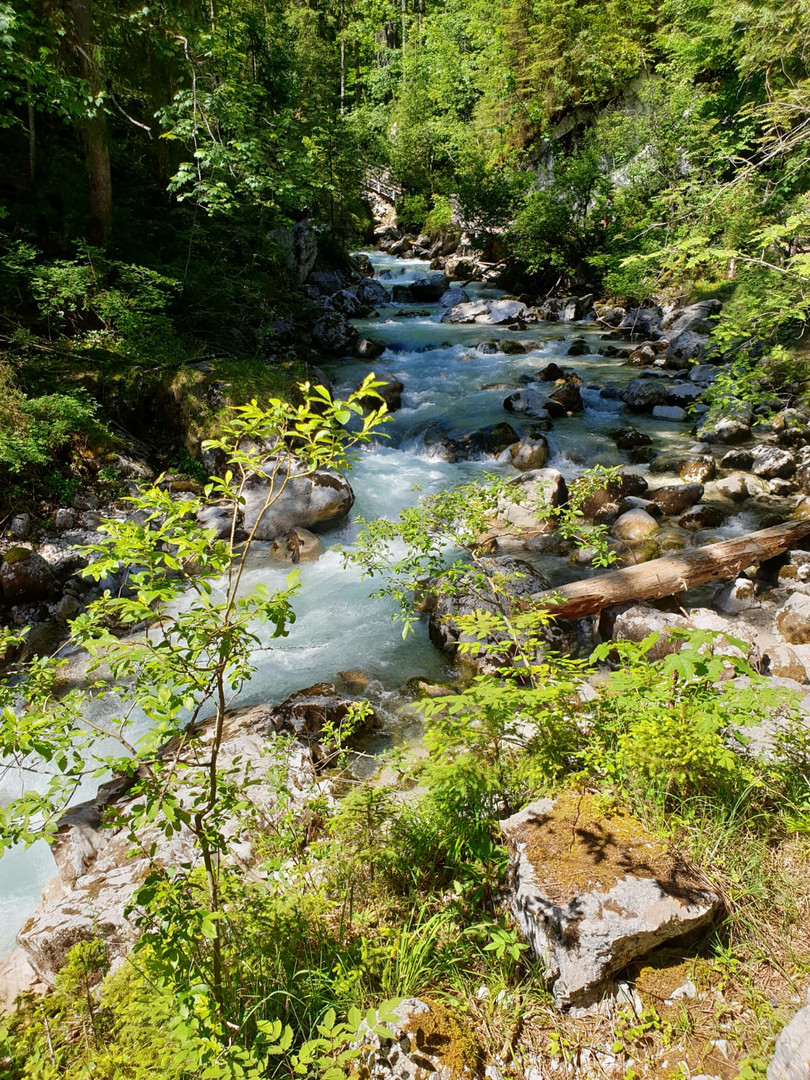 Die klamm vom Zauberwald 