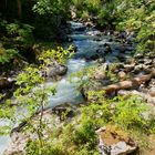 Die klamm vom Zauberwald 