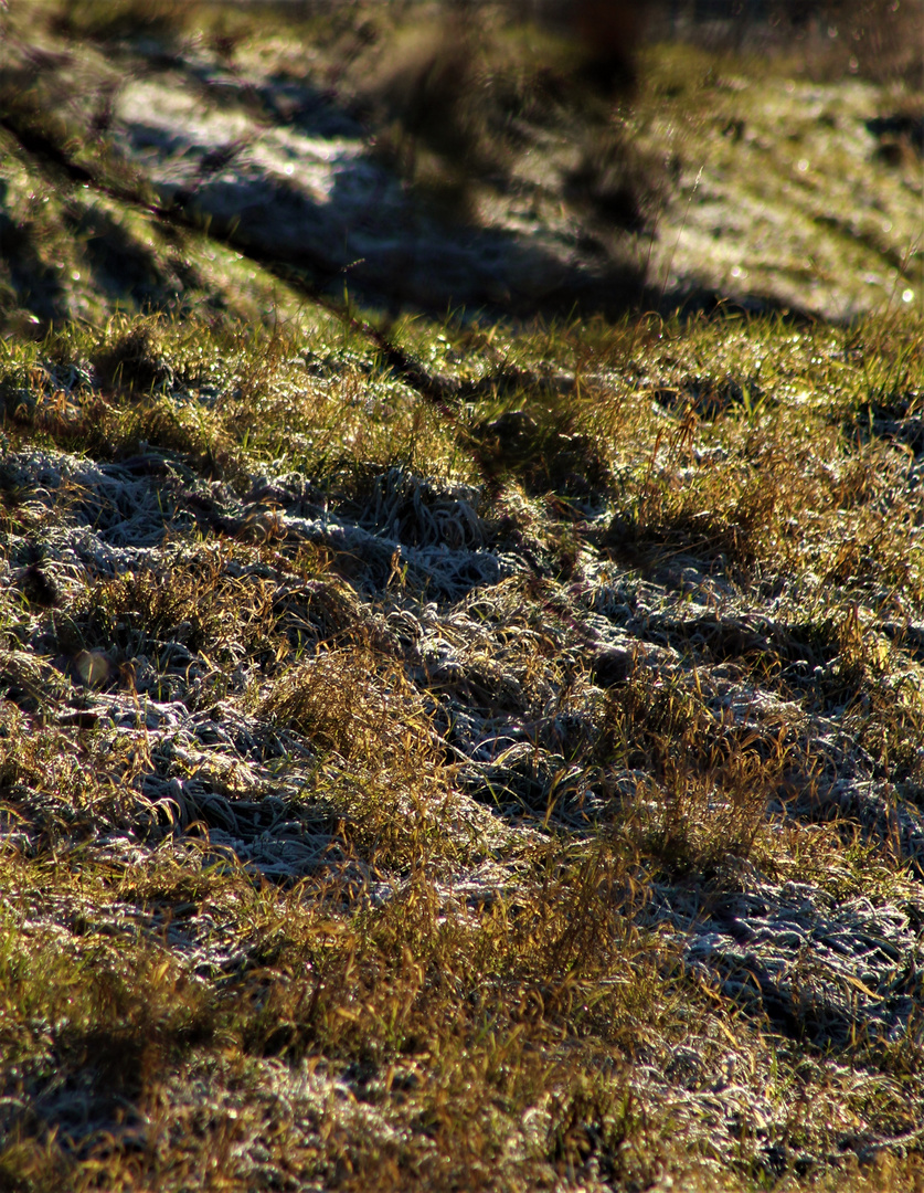 die klare Luft des Winters und die Sonne