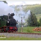 Die Kleene auf großer Fahrt