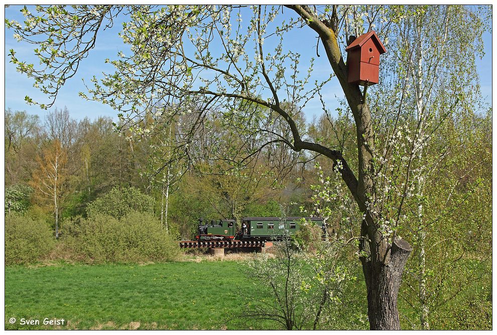 Die „Kleene“ mitten im Frühling