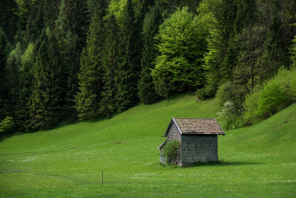 die kleine Alm