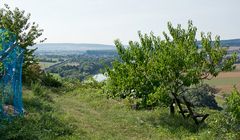 Die kleine Bank unter dem kleinen Pfirsichbaum