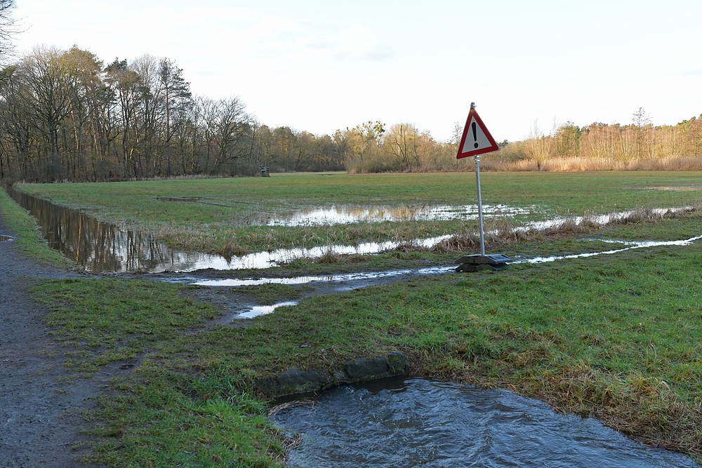 Die kleine Bieber kann auch Hochwasser 01