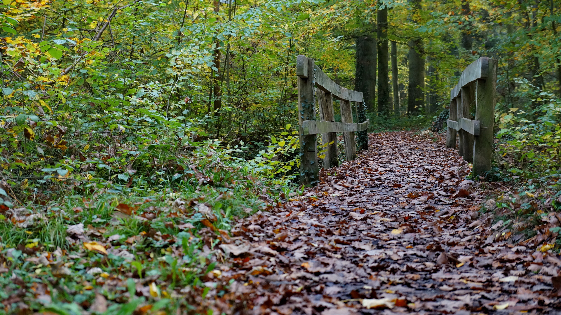 Die kleine Brücke...