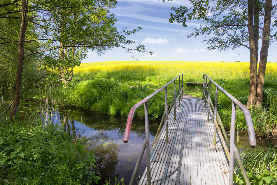 Die kleine Brücke