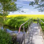 Die kleine Brücke