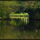 Die kleine Brücke