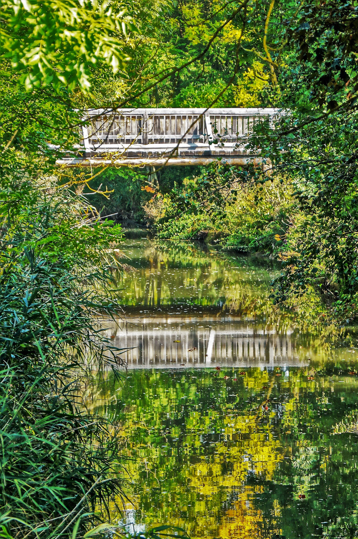 Die kleine Brücke  ( Spiegeltag) 