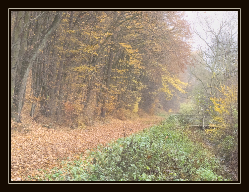 die kleine Brücke über den Bach