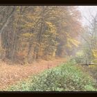 die kleine Brücke über den Bach