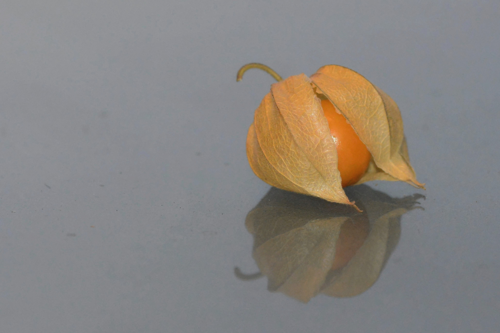 die kleine Frucht