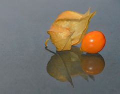 Die kleine Frucht