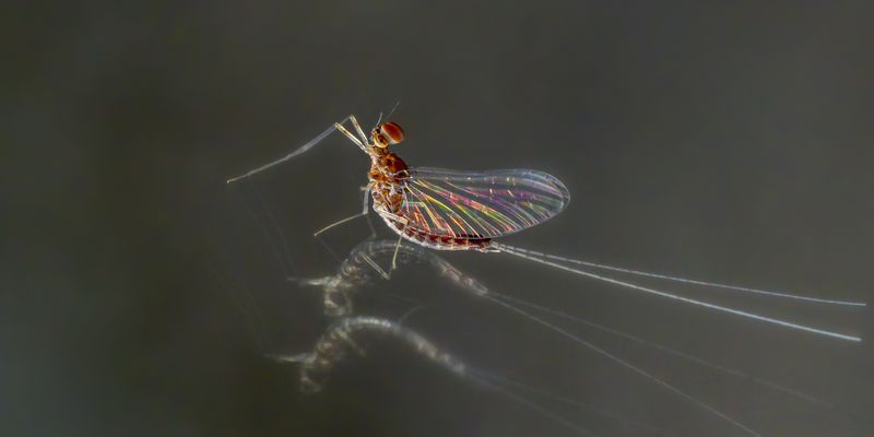 die Kleine ganz groß