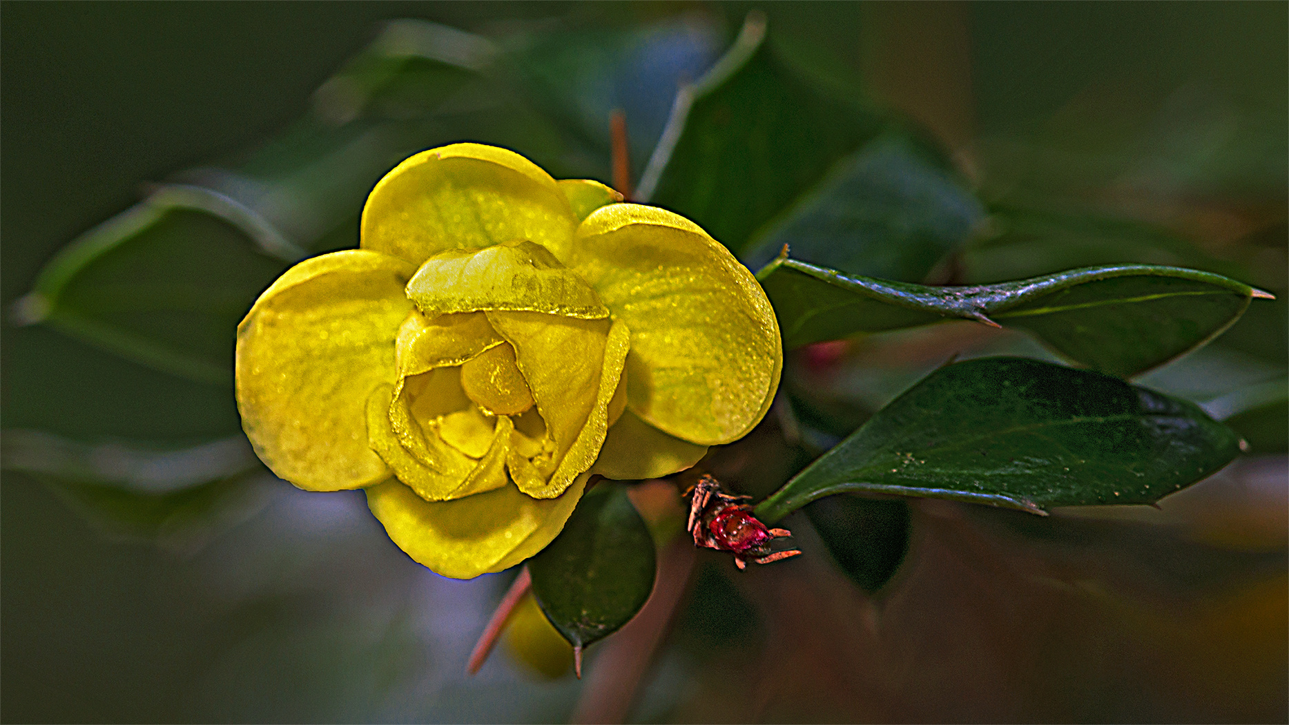 Die kleine Gartenlampe