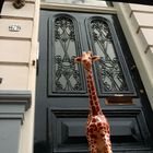 Die kleine Giraffe in Amsterdam