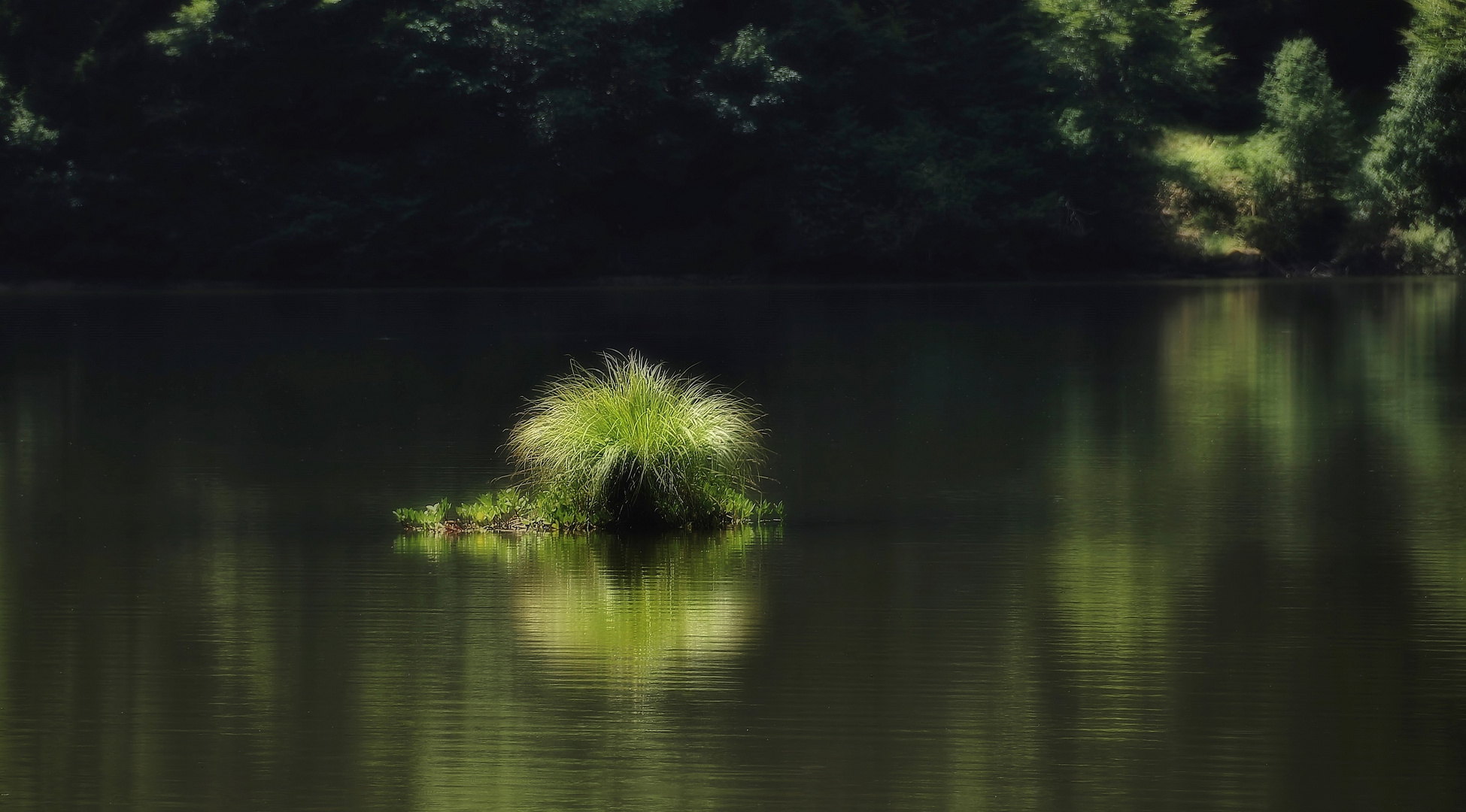 Die kleine grüne Insel