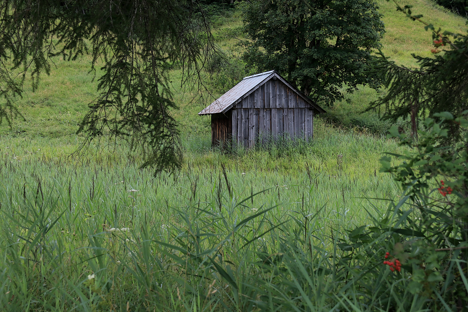 Die kleine Hütte