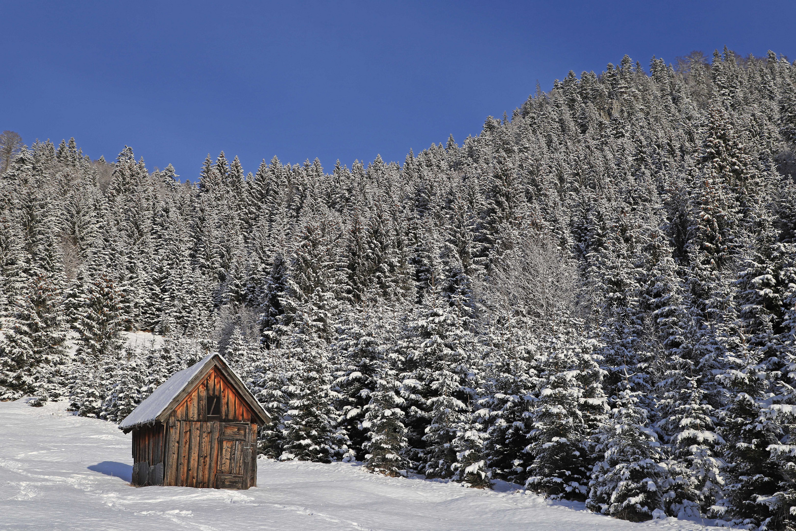 Die kleine Hütte