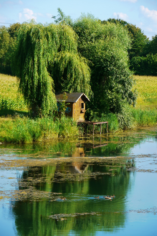 Die kleine Hütte am See