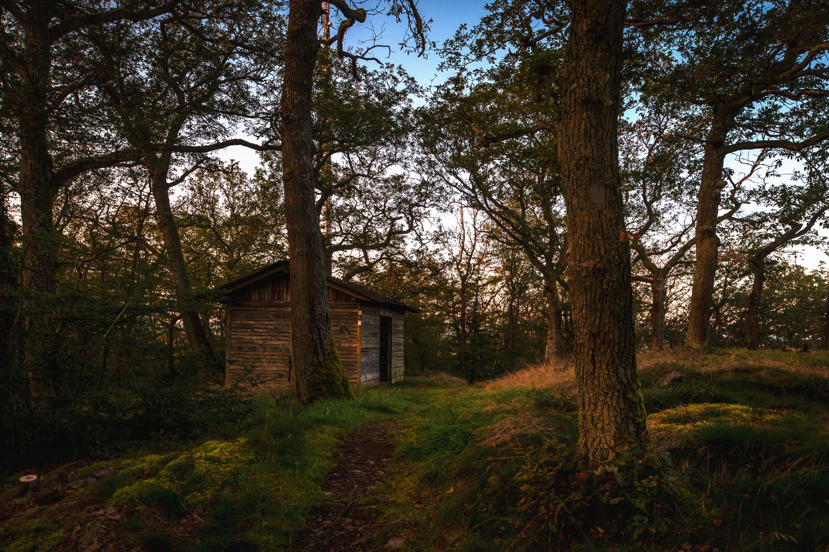 Die kleine Hütte im Wald