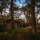 Die kleine Hütte im Wald