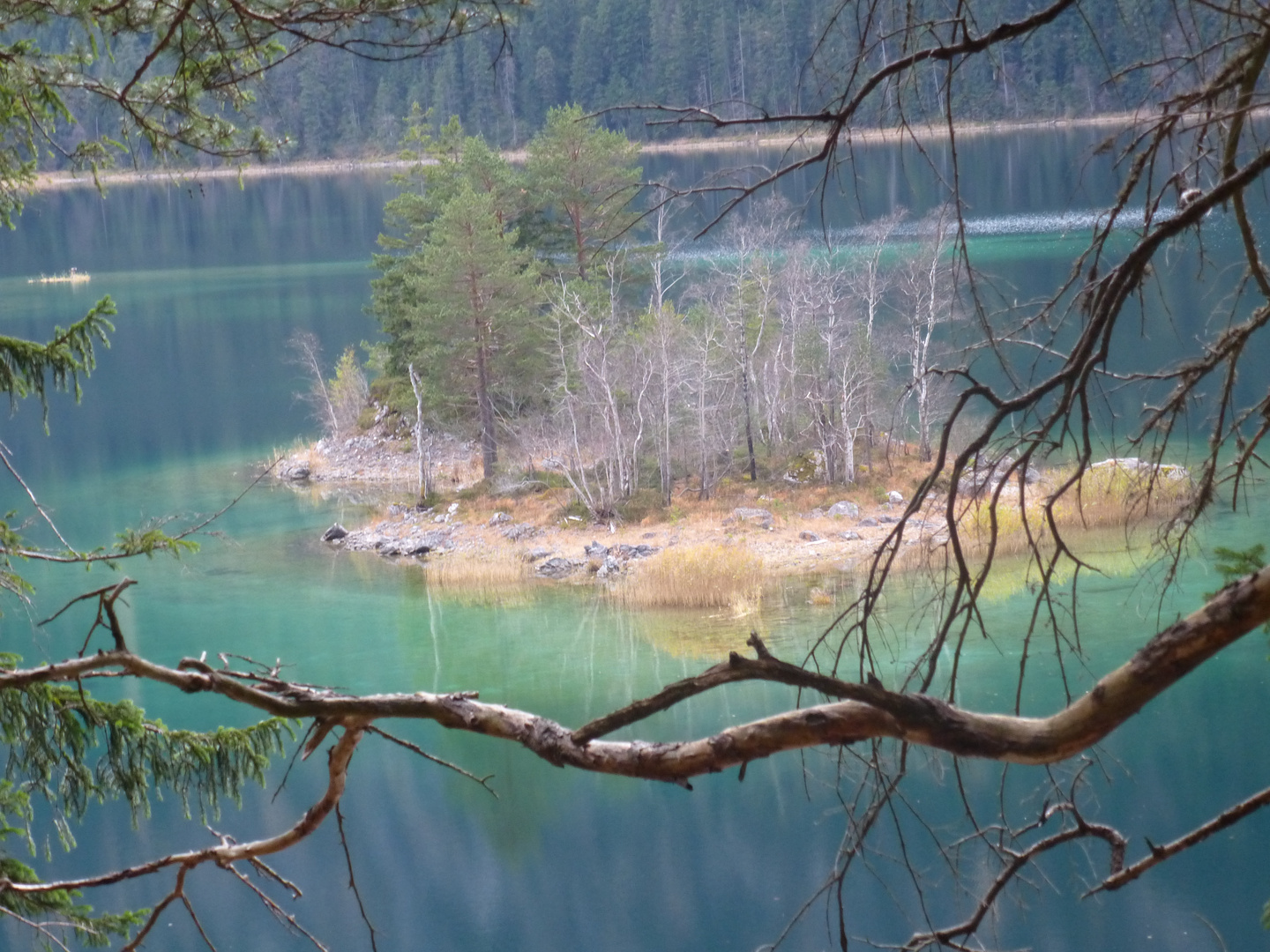 Die kleine Insel am Eibsee