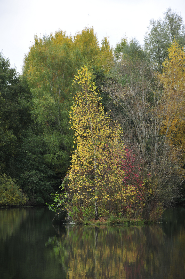 Die kleine Insel im Herbst