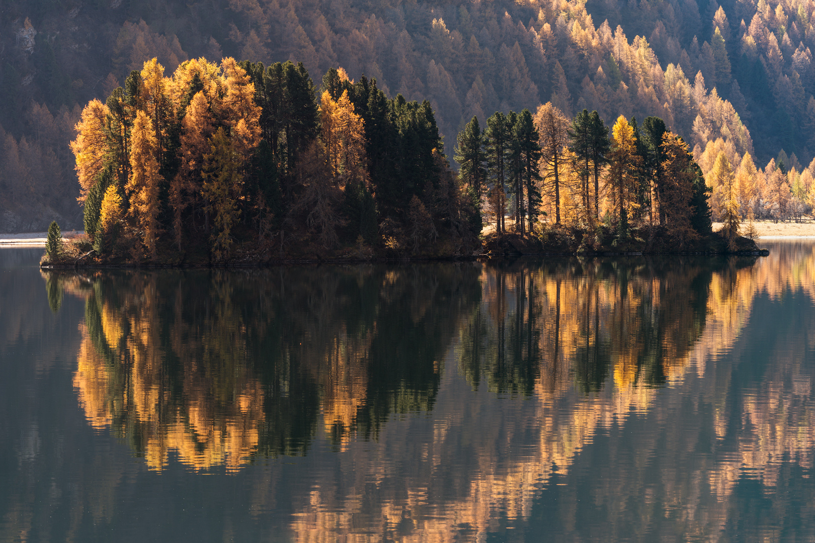 Die kleine Insel im Silsersee