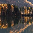 Die kleine Insel im Silsersee