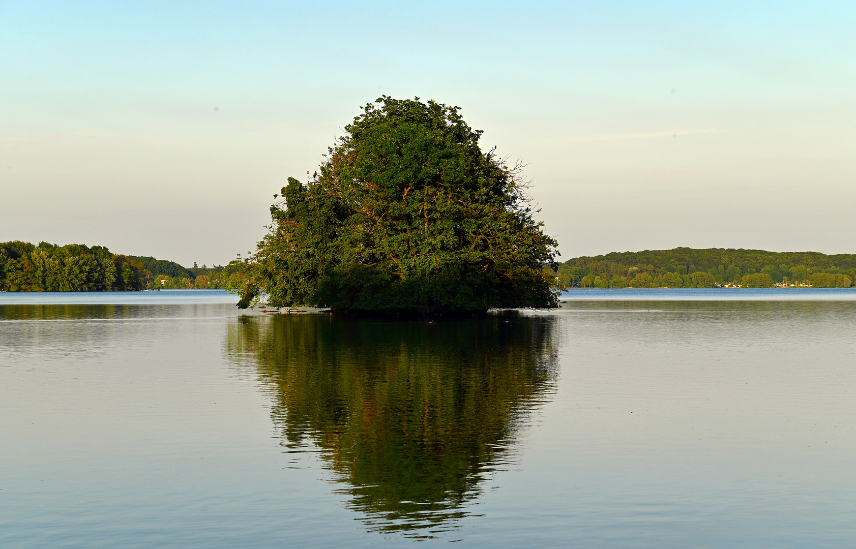 Die kleine Insel Sterin im Gr. Plöner See