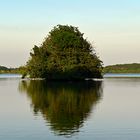 Die kleine Insel Sterin im Gr. Plöner See