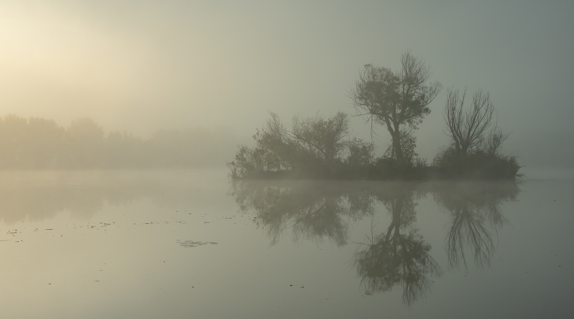 die kleine Insel und der morgendliche Hochnebel