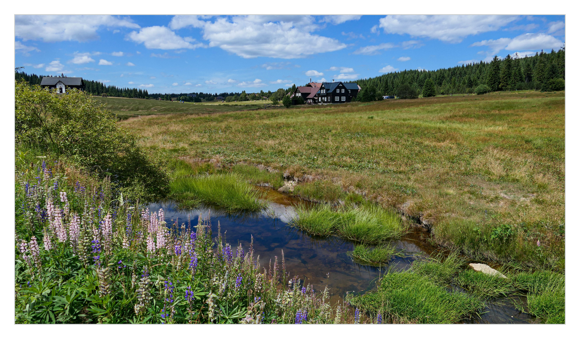 Die Kleine Iser-Wiese 