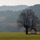 Die kleine Kapelle