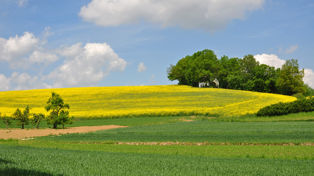 Die kleine Kapelle... (2)