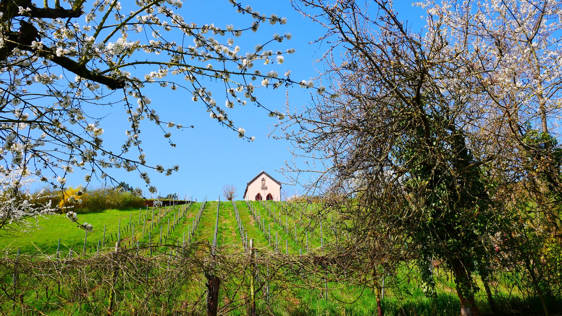 Die kleine Kapelle hinter unserem Haus