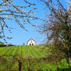 Die kleine Kapelle hinter unserem Haus