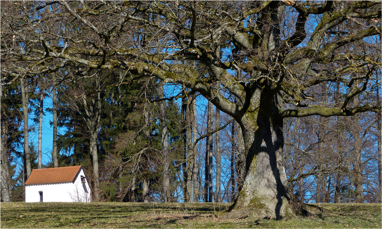 DIE KLEINE KAPELLE MIT DEM ALTEN BAUM