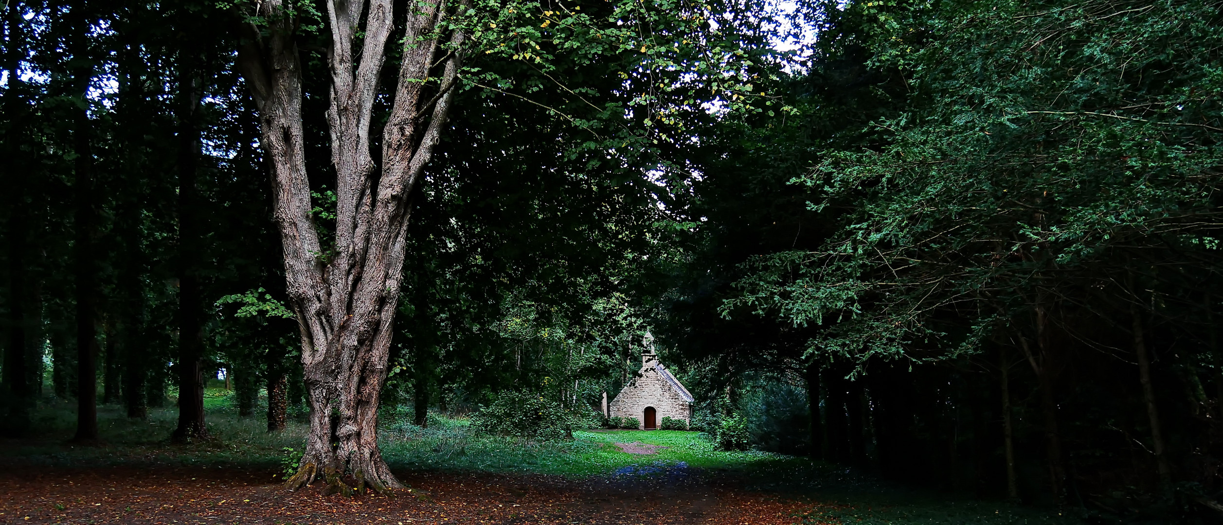 Die kleine Kapelle tief im Wald