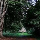 Die kleine Kapelle tief im Wald