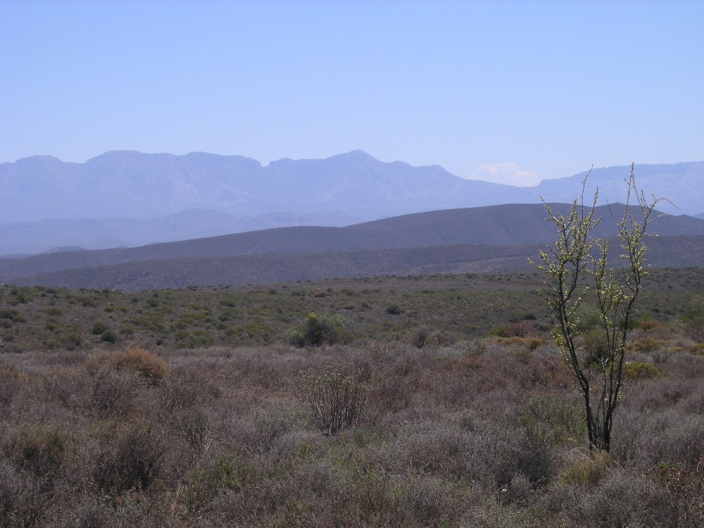 Die kleine Karoo