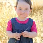 Die kleine Lina im Weizenfeld :)