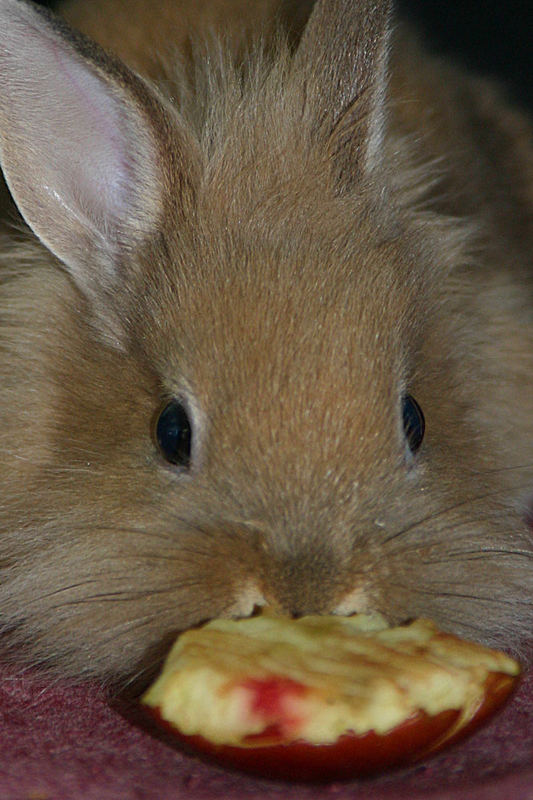 die kleine mit dem großen hunger*g*