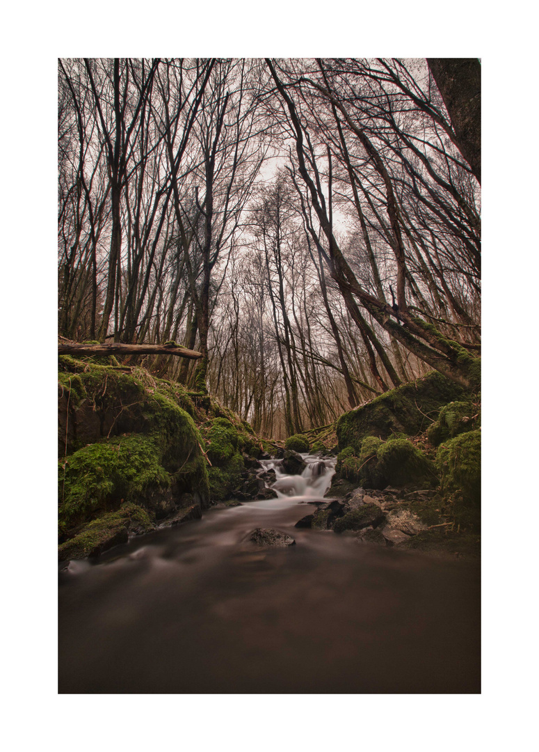 Die Kleine Ohe der Eifel