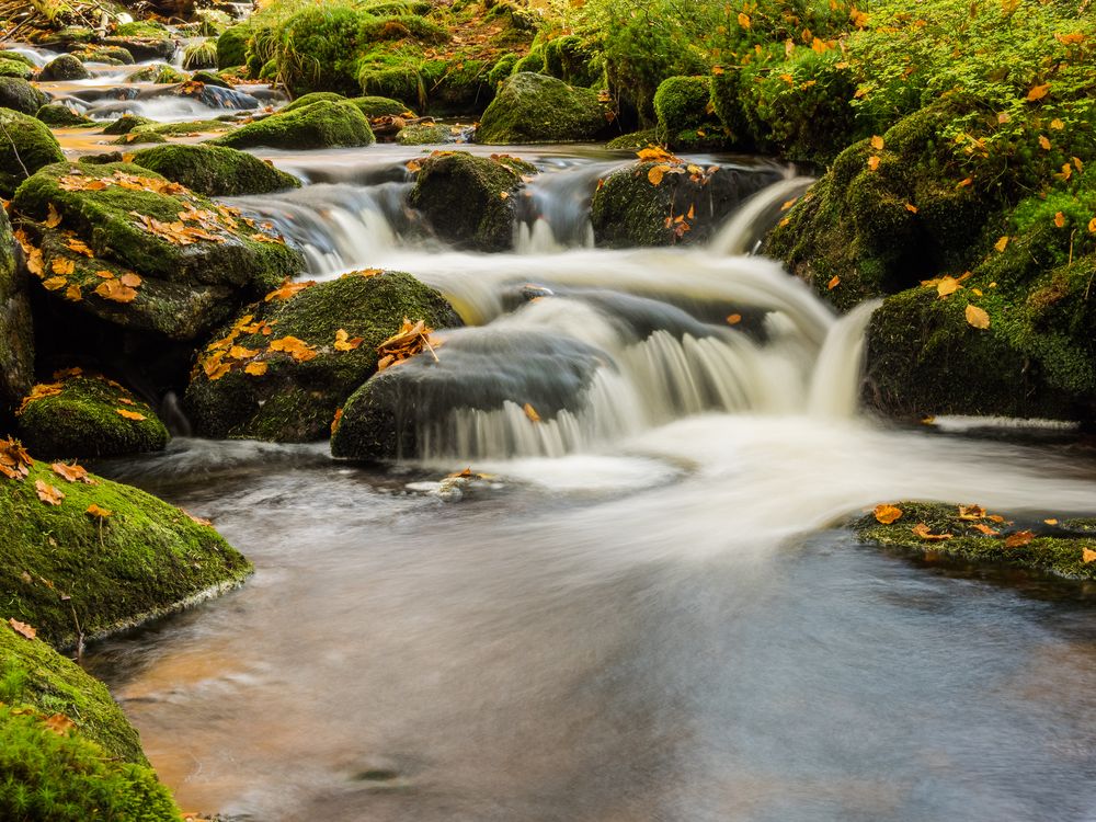 Die kleine OheII Foto & Bild | urlaub, oktober, bäume Bilder auf