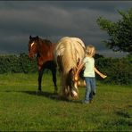 Die kleine Pferdefütterin...Teil 2